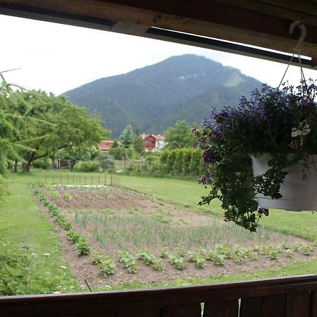 Apartman Turista Pavčina Lehota Buitenkant foto