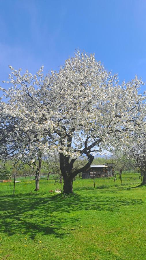 Apartman Turista Pavčina Lehota Buitenkant foto