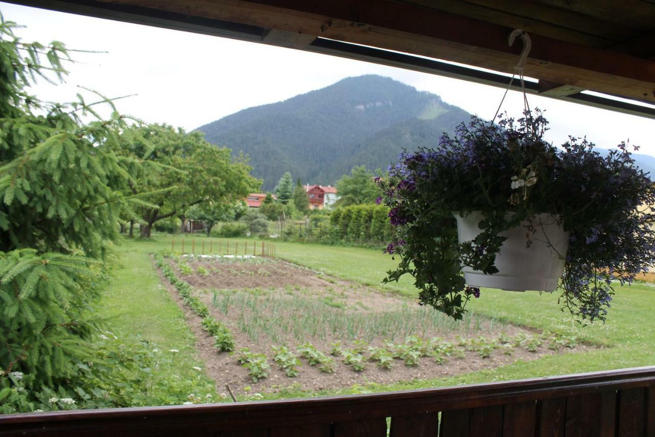 Apartman Turista Pavčina Lehota Buitenkant foto